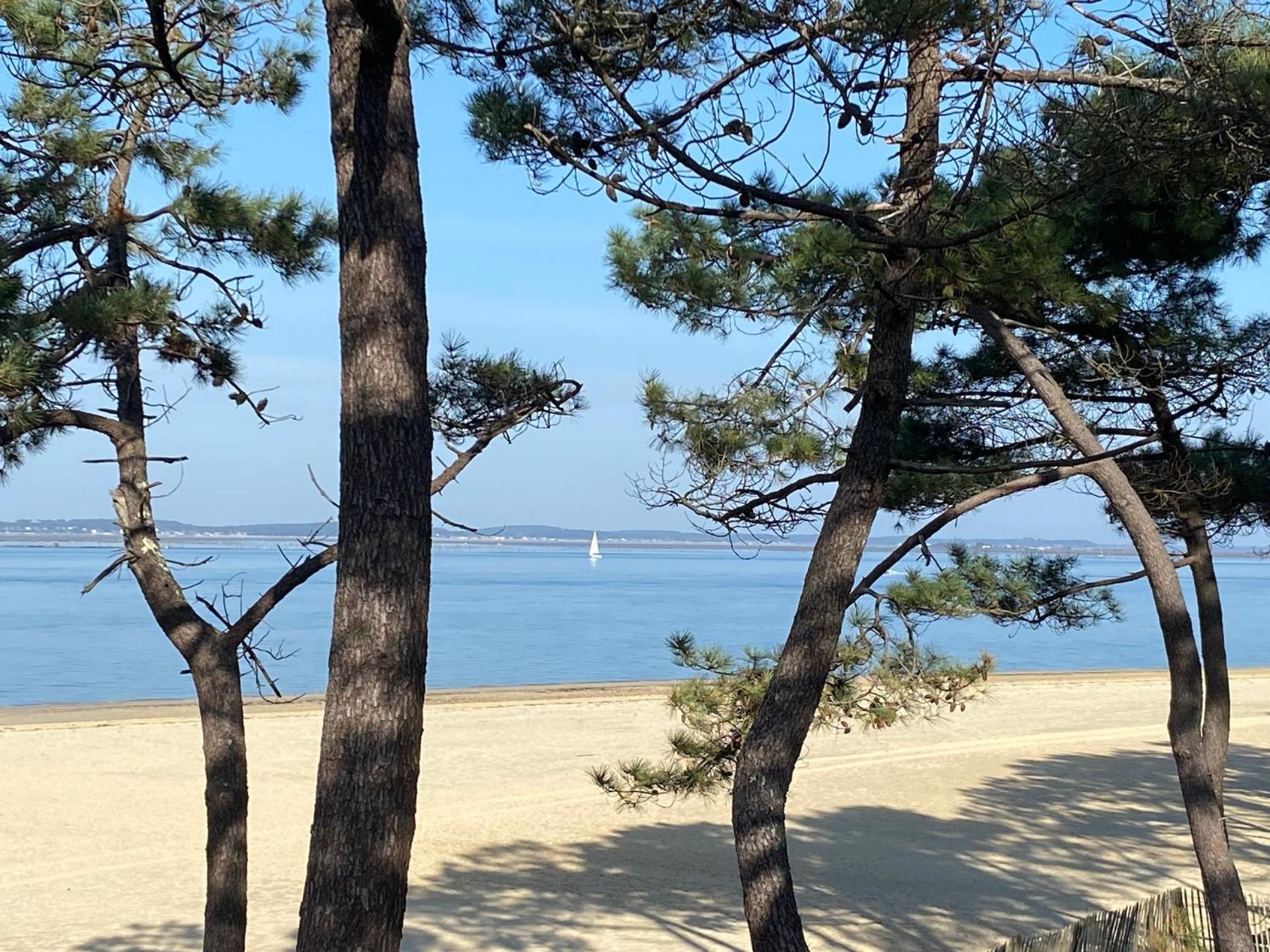 Les Cottages du Bassin d'Arcachon- Accueil, Propreté-Petit-déjeuner sur demande- Gujan-Mestras Extérieur photo